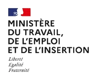 Ministère du Travail, du Plein Emploi et de l'Insertion